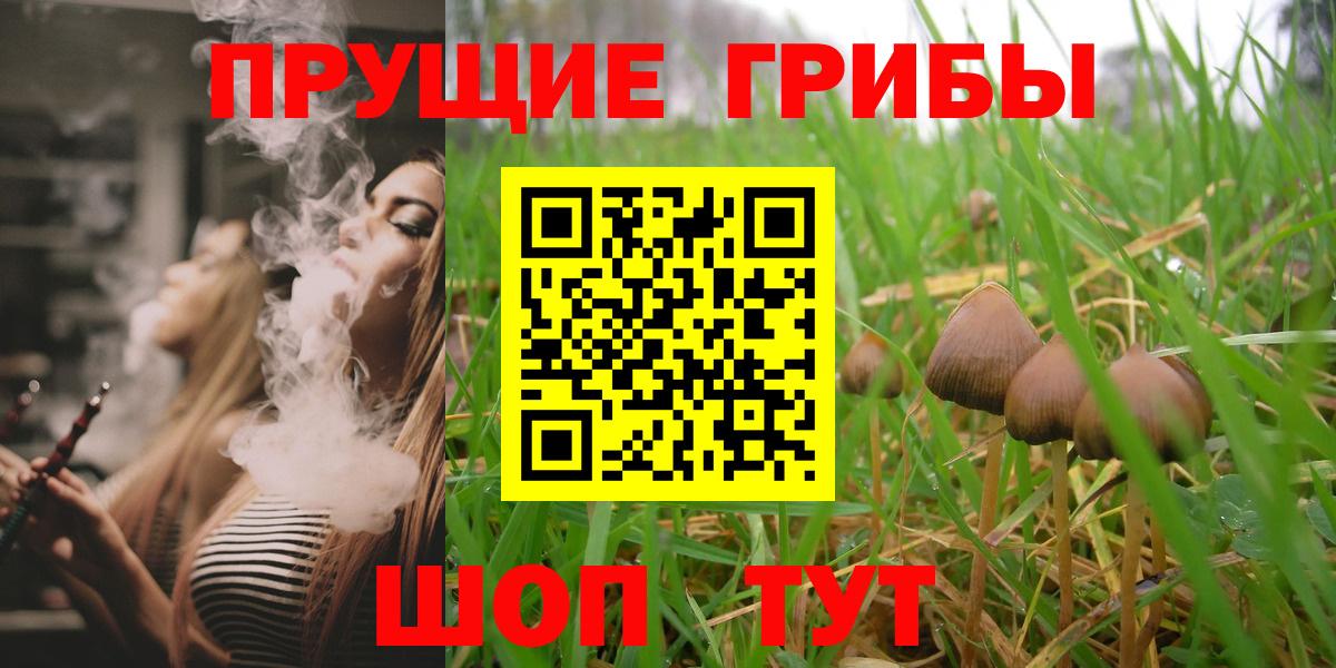 Галлюциногенные грибы GOLDEN TEACHER Новый Уренгой