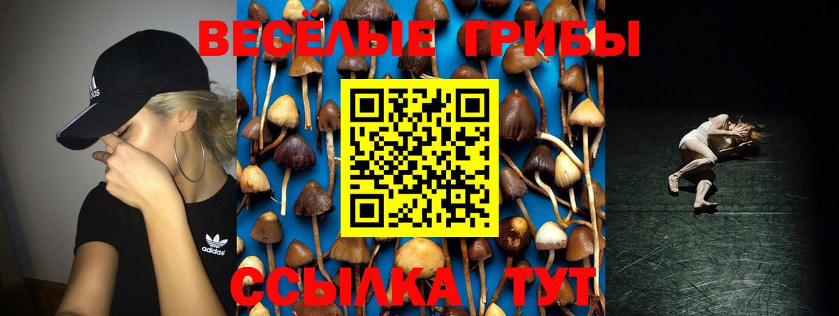 Новый Уренгой  Псилоцибиновые грибы Psilocybine cubensis  Вход с VPN 